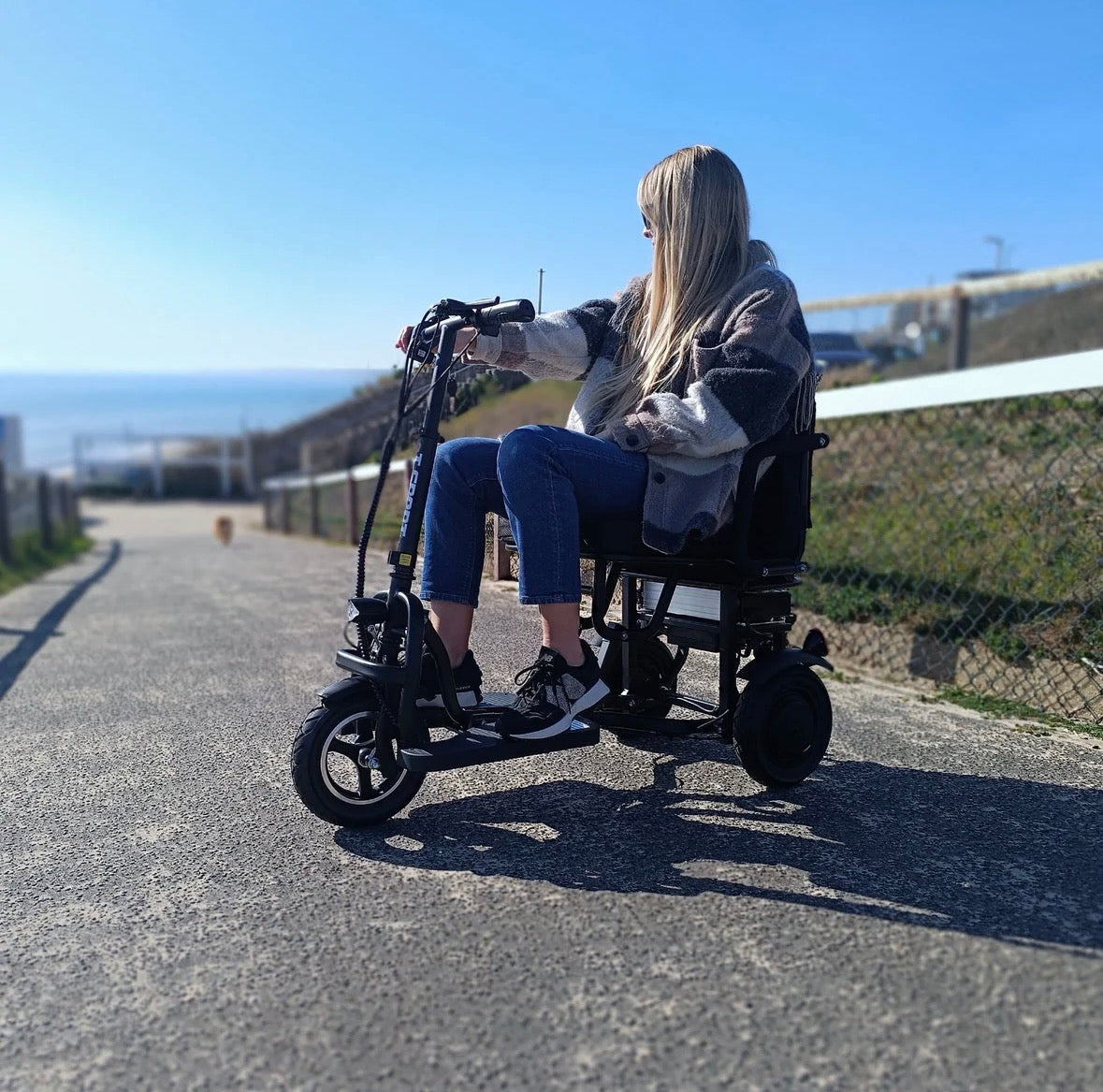SCOTE-48350 Folding Mobility Scooter – 3 Wheel, Dual Motor 700W, 20 Mile Range